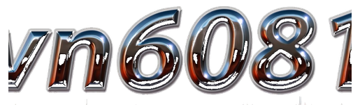 vn6081 logo